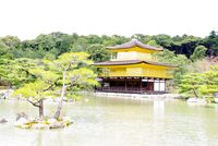 時期遅れの春・・・か