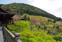 時期遅れの春・・・か