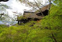 時期遅れの春・・・か