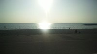 お久しぶり 2010/02/03 11:26:04