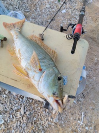ハテノ浜のんびり釣行記