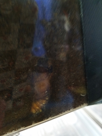 もうすぐ春ですね 2018/04/01 08:43:28