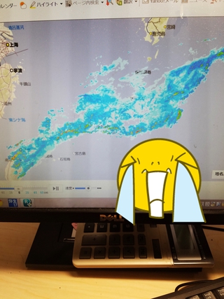 梅雨入りですね