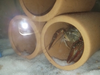 あけましておめでとうございます 2019/06/28 10:03:07