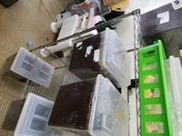 色々と紹介 2019/07/06 17:35:36