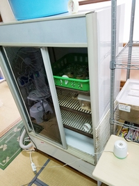 冷蔵庫来る 2017/11/18 15:06:39