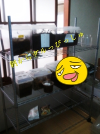 追加の追加 2013/07/29 09:51:43