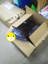 虫春到来 2014/02/04 14:12:42