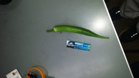 副産物 2014/07/26 10:34:22