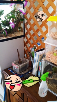 ブルーマンデー 2014/07/28 09:24:31