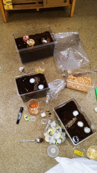 始めます 2014/08/02 17:51:12