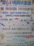 楽しい梅雨大放出！ 2014/06/06 18:32:56