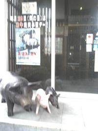 名護市にある焼肉乃我那覇のランチに行ってきました(^O^)