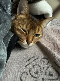 久しぶり