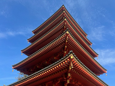 JKF～春の高幡不動と神代植物公園～