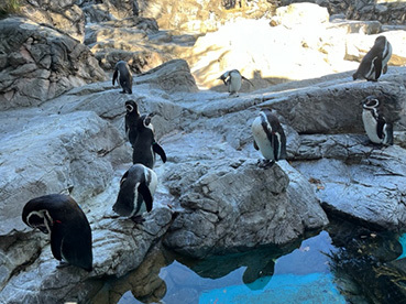 JKT～よこはま動物園ズーラシア等《Digest版》〜