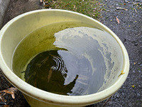 風乃GW-6～水戸5～疲労困憊な月曜日～