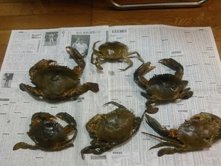 さまざまな美味しい食べ物の紹介