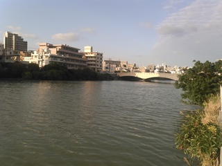５月はこいのぼり、真玉橋近くの風景