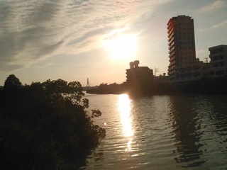 ５月はこいのぼり、真玉橋近くの風景