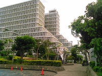 沖縄県庁界わい 2015/09/29 07:46:23