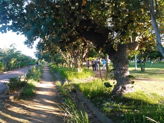 那覇市と豊見城市にまたがる漫湖公園