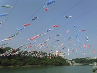 ５月はこいのぼり、真玉橋近くの風景