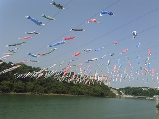 ５月はこいのぼり、真玉橋近くの風景
