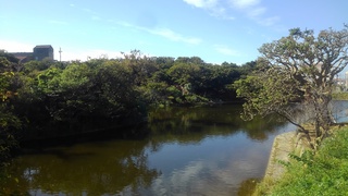 首里　龍潭通りの風景