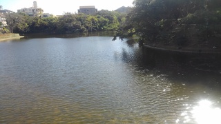 首里　龍潭通りの風景