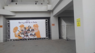 プロ野球キャンプ　IN　天国地沖縄
