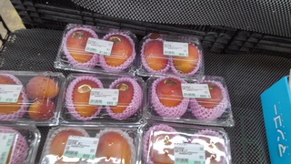 豊見城市　マンゴー旬を迎える