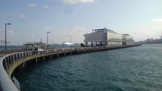 早朝の那覇客船ターミナル前の海岸