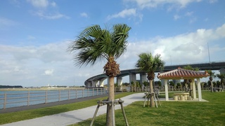 豊見城市豊崎海浜公園の風景