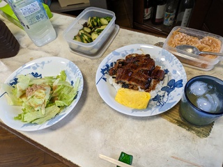 １年ぶりに食べるうなぎ弁当（国産）