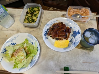 １年ぶりに食べるうなぎ弁当（国産）
