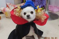 やっと沖縄も、秋らしくなりましたネ・・・ 2014/11/10 20:29:35