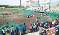 北海道日ハム
