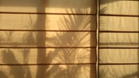 あついけろ、朝日がいいね 2021/06/19 07:46:05