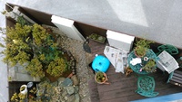 いぃかんじ 2019/01/19 13:54:19