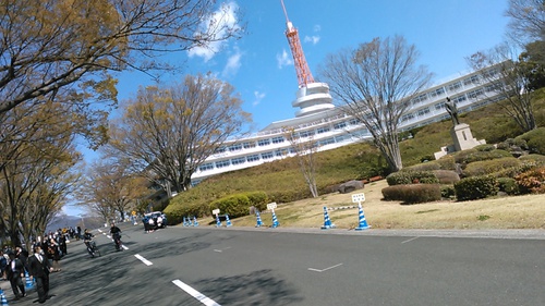 こんなにいた