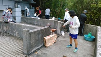 si-mi- 2019/04/29 16:05:35