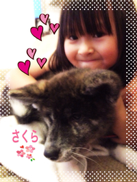 ＊明日Open＊ 2014/06/09 21:19:18
