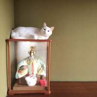 実家の生き物