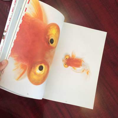 金魚の本