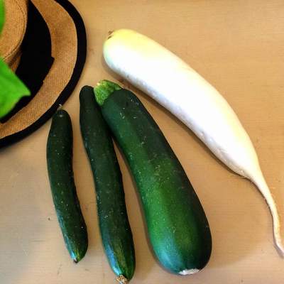 タイフーン、来るのかい？