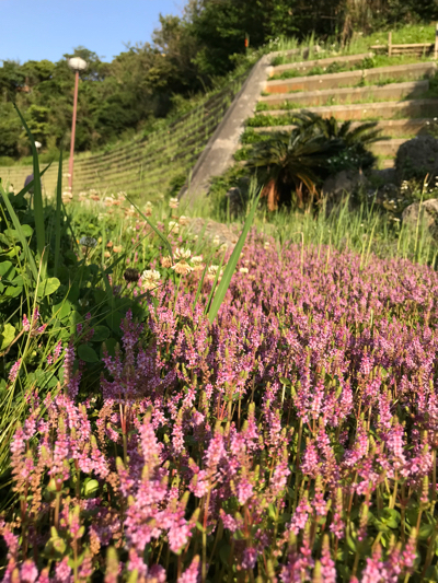 今週からしばらく休業します