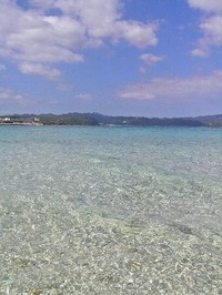 辺野古