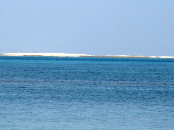 今日のハテノ浜