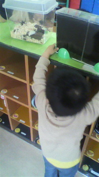 保育園に寄贈しました。 2012/03/03 18:15:53